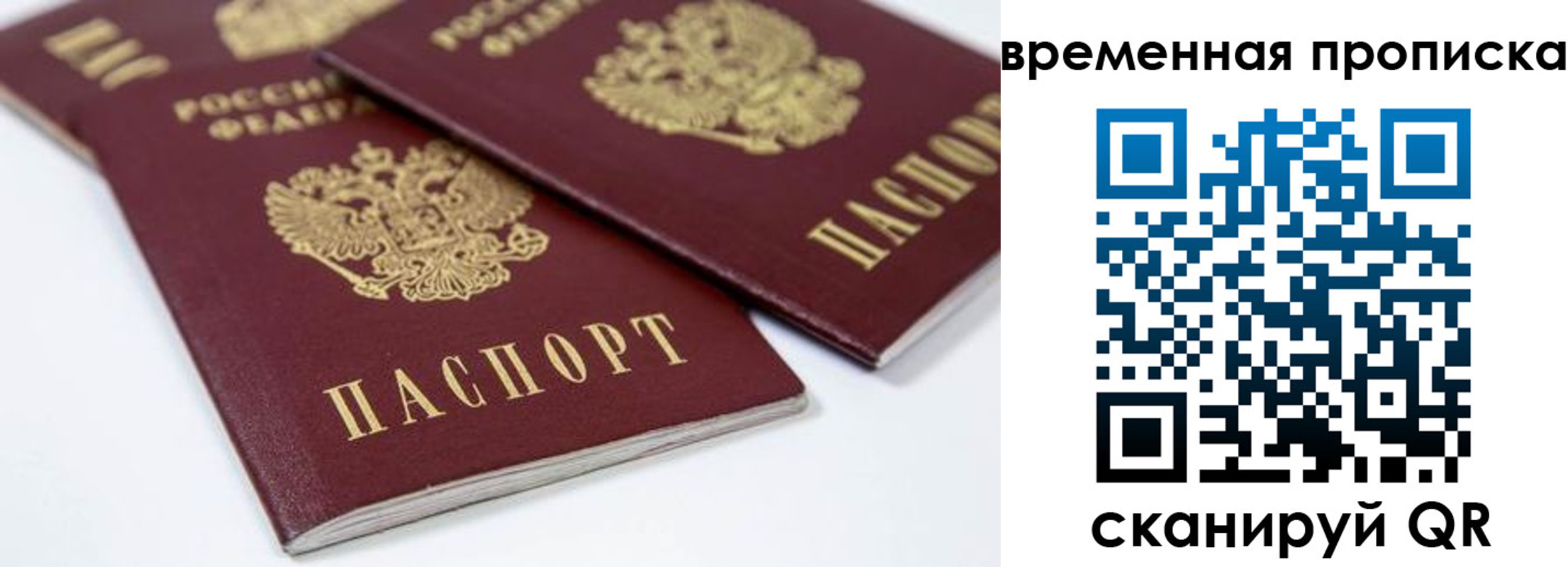 прописка для школы в Ипатово